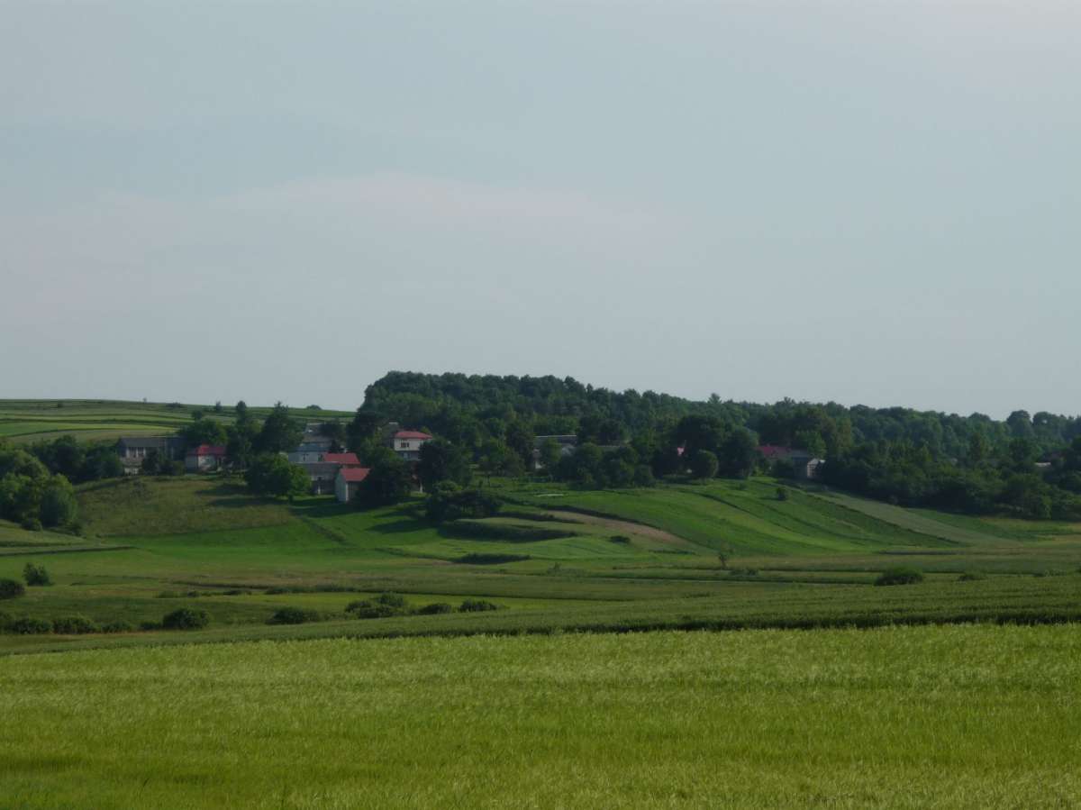 BRONISŁAWKA