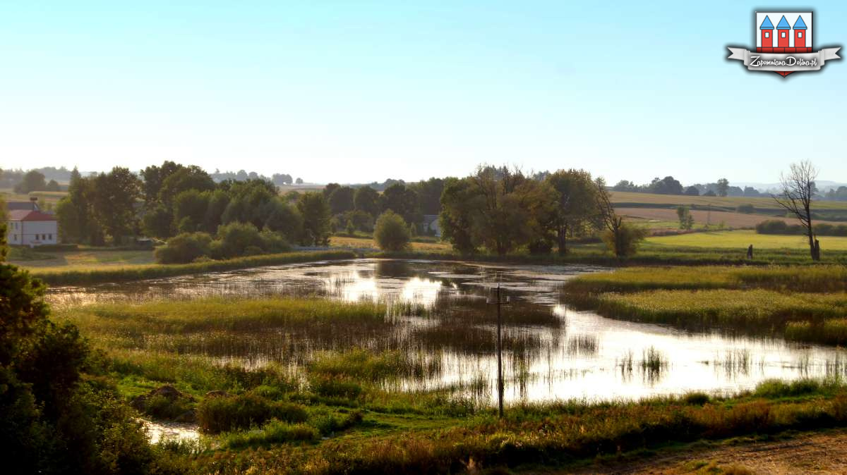 ROGÓW