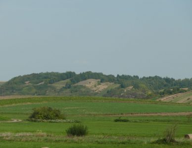 SKIBICE