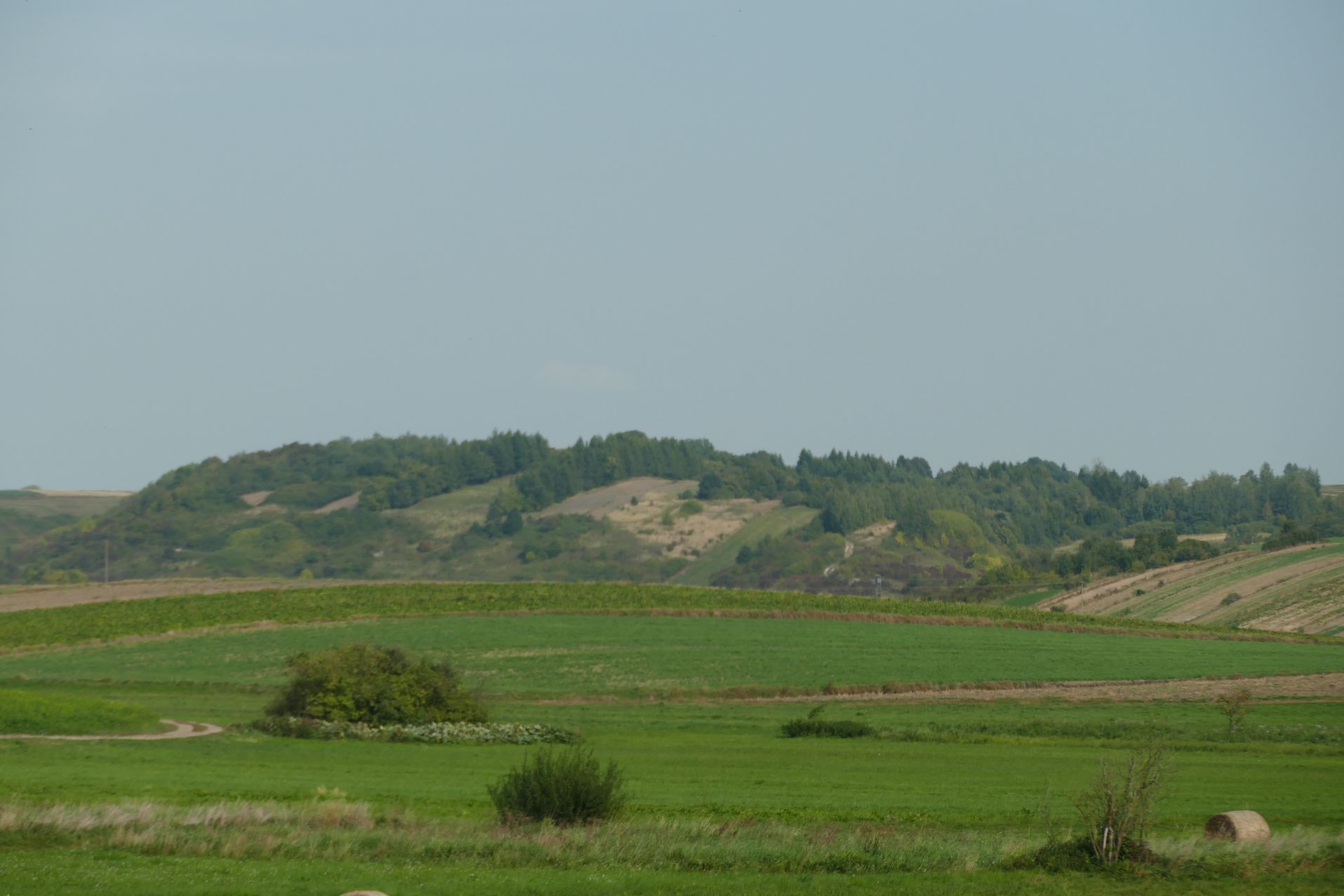SKIBICE