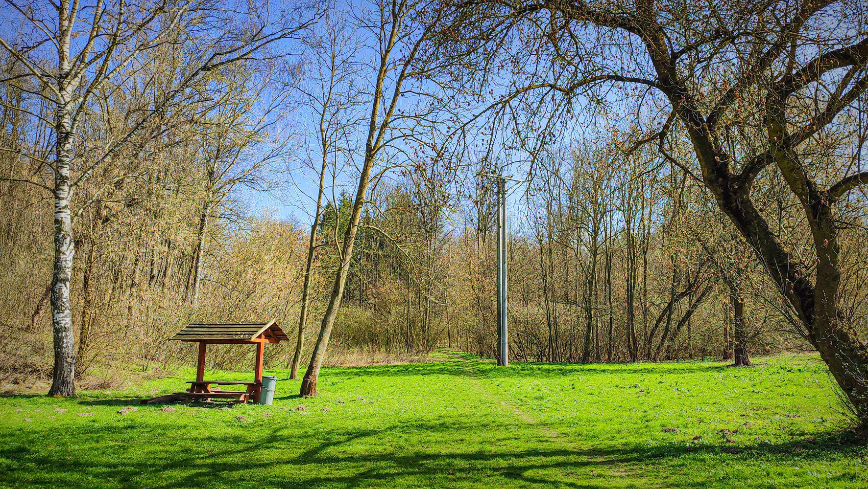ZAMEK I BŁONIA