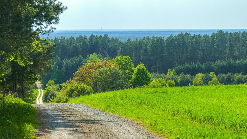 WZGÓRZE POLAK – MIEJSCE BITWY