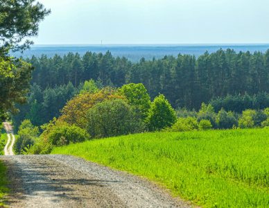 WZGÓRZE POLAK – MIEJSCE BITWY