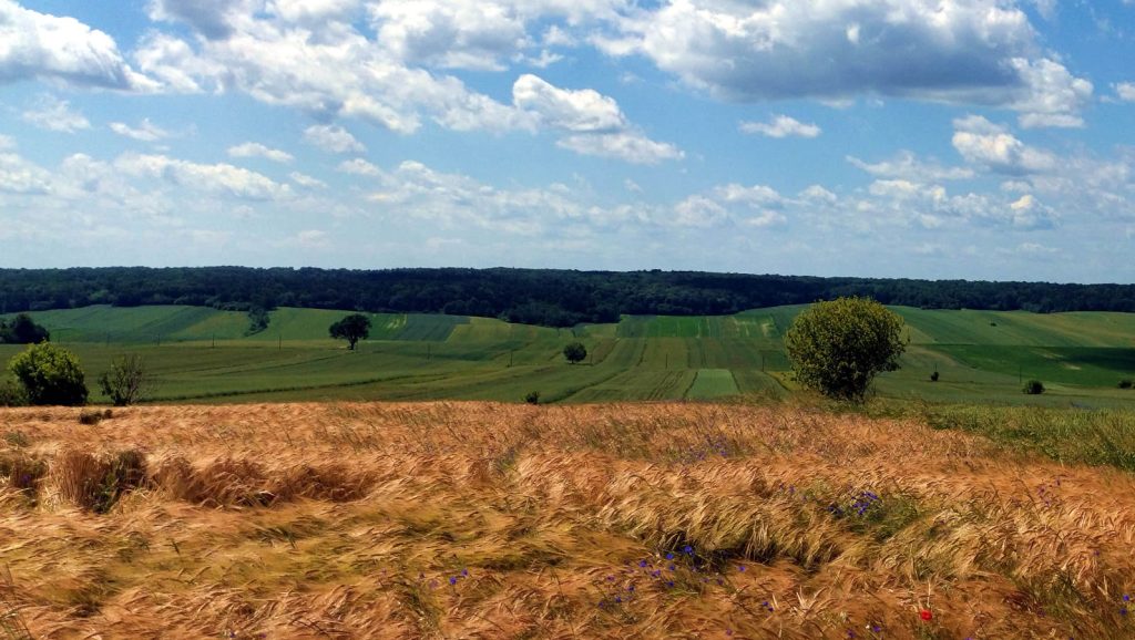 PANORAMA GMINY – CZERWIEC 2025