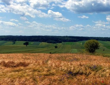 PANORAMA GMINY – CZERWIEC 2025
