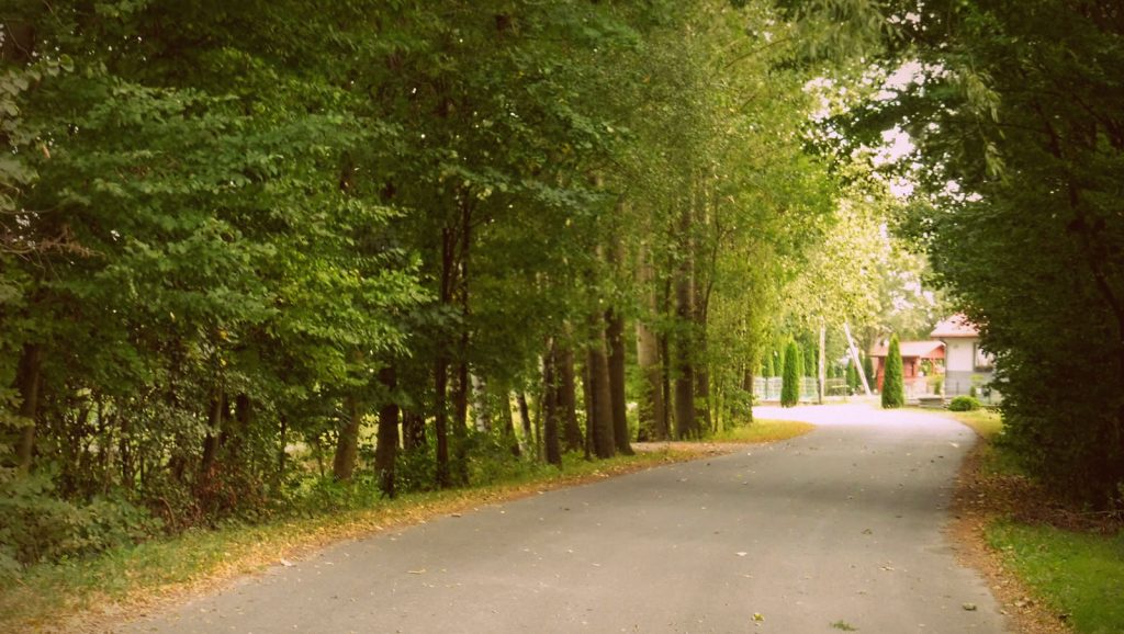 WRZEŚNIOWY ŻURAWLÓW