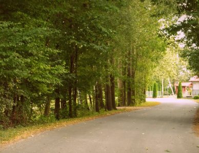 WRZEŚNIOWY ŻURAWLÓW