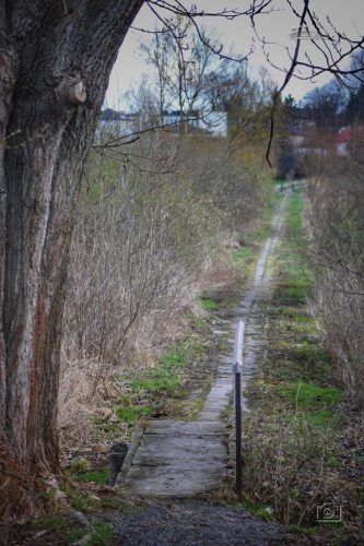 IMG 3086