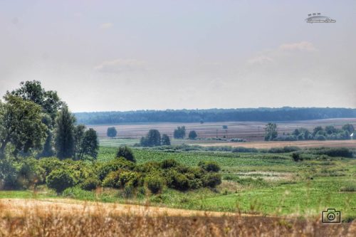 siedlisko-09