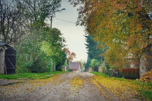 2020.10.30 - BRONISŁAWKA