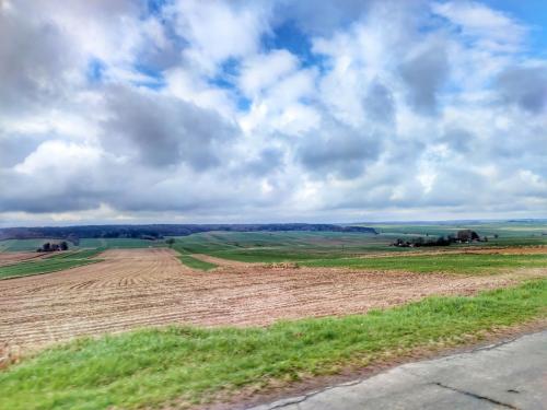 20220419-beresc-fot-dk-10