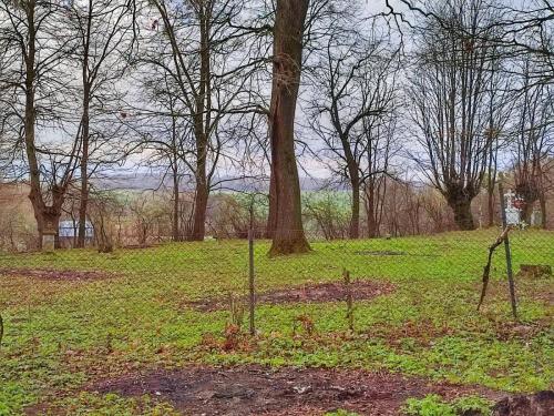 20220419-beresc-fot-dk-3
