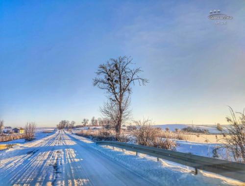ROGÓW (2024.01.09)
