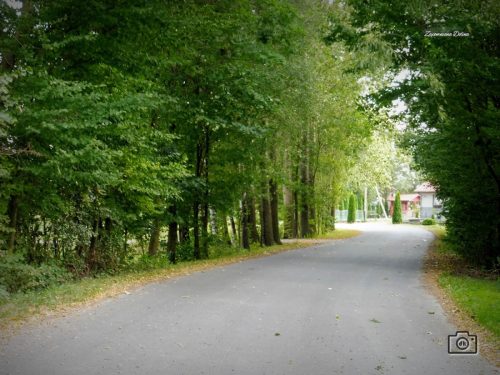 2025.09.10 - WRZESNIOWY ŻURAWLÓW