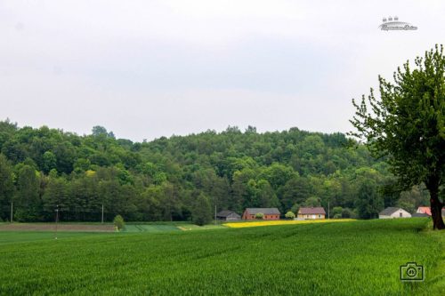 IMG 3829
