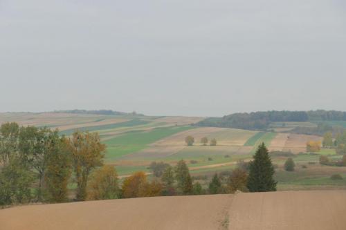 grabowczyk-2018-6