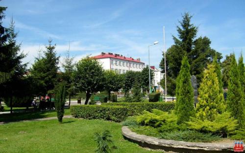 grabowiec-2008-4