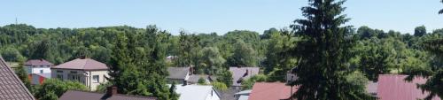 SONY DSC