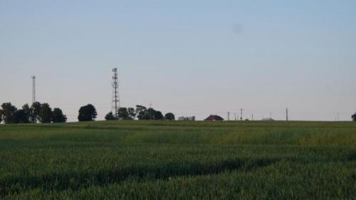 SONY DSC
