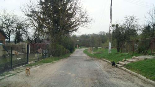 holuzne-2018-6