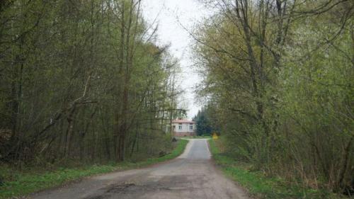 holuzne-2018-7