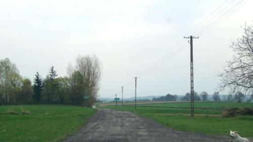 holuzne-2018-8