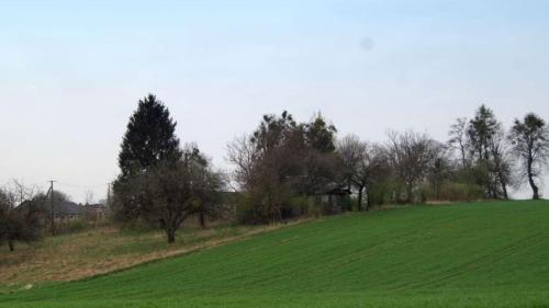 ornatowice-2018-3