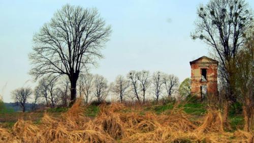 ornatowice-2018-4