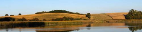 rogow-13-14-10