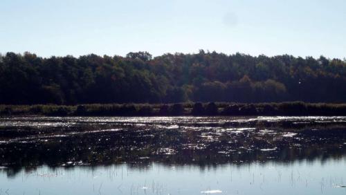 rogow-13-14-11