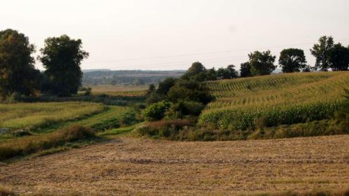 rogow-13-14-20