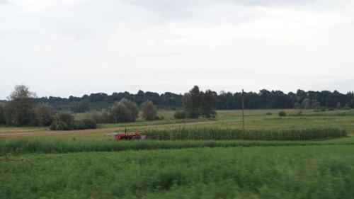 siedlisko2014-6