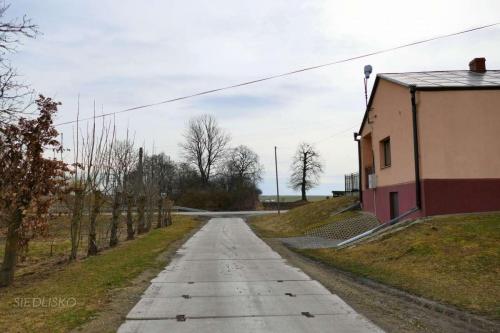 siedlisko-2019-14