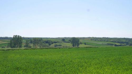 skibice-2018-19