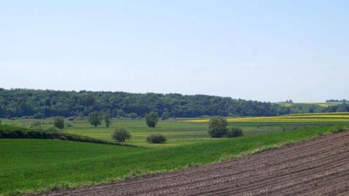 skibice-2018-22