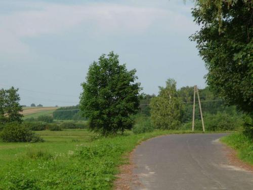 szystowice-zielonka-2009-4