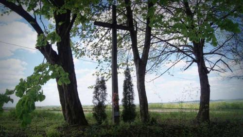fot dk 4 20160507 1347448018