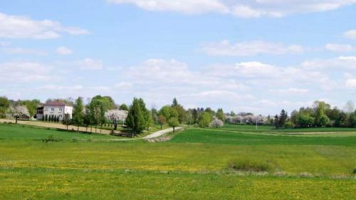 fot dk 6 20160507 1652614187