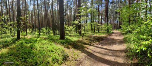 PANO 20230514 125855