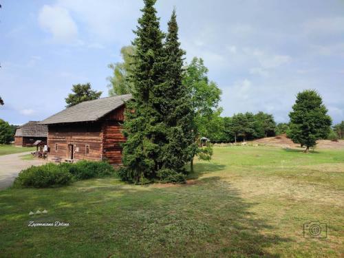 20230805-janowiec-39