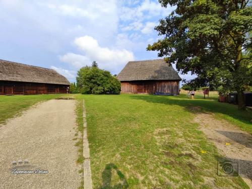 20230805-janowiec-59
