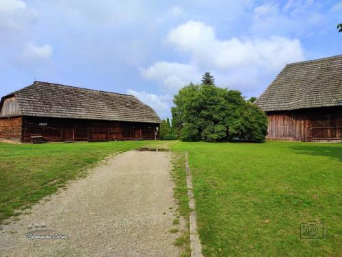 20230805-janowiec-60