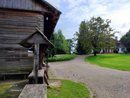 20230805-janowiec-61