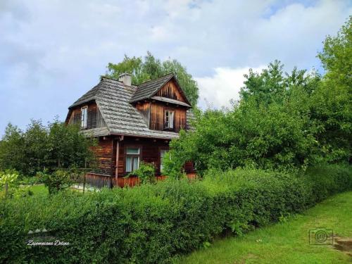 20230805-janowiec-63