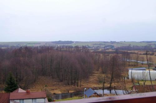 DSC06753