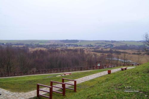 DSC06763