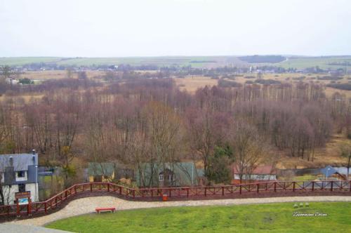DSC06773