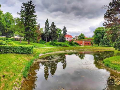 zamosc09