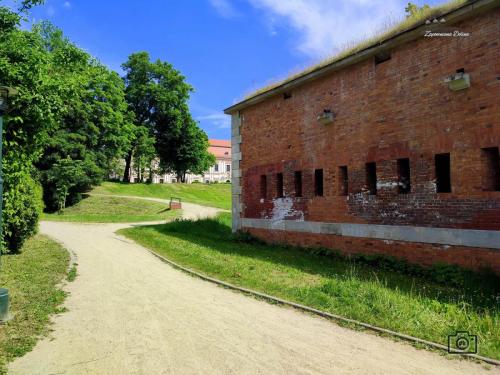 zamosc15