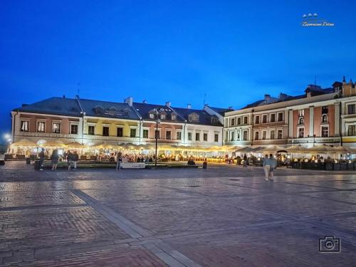 zamosc17